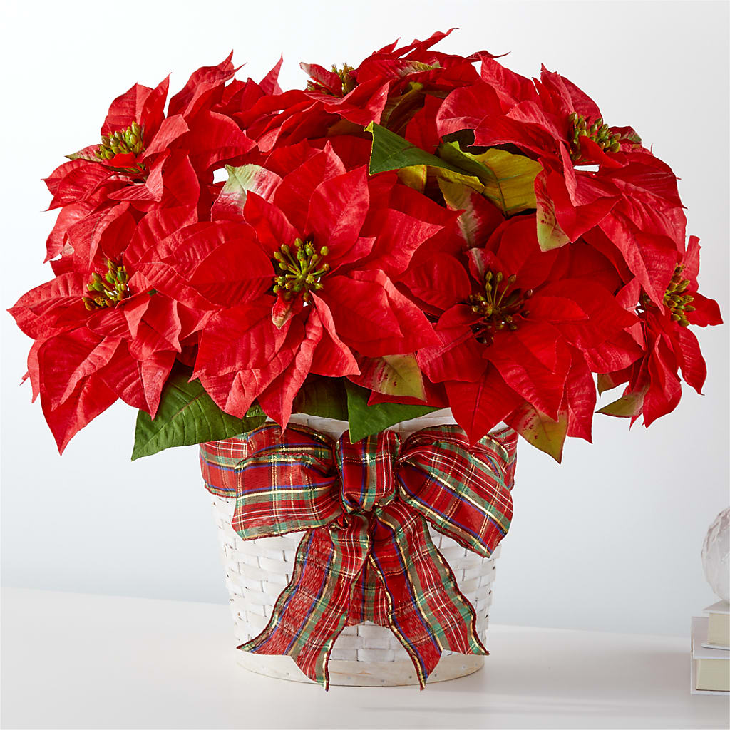 Happiest Holidays Poinsettia – RALPH'S, Compton CA