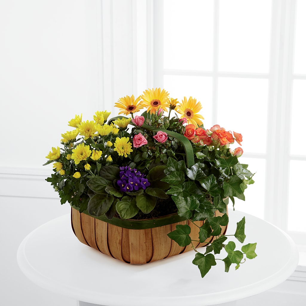 Gentle Blossoms Basket – RALPH'S, Compton CA