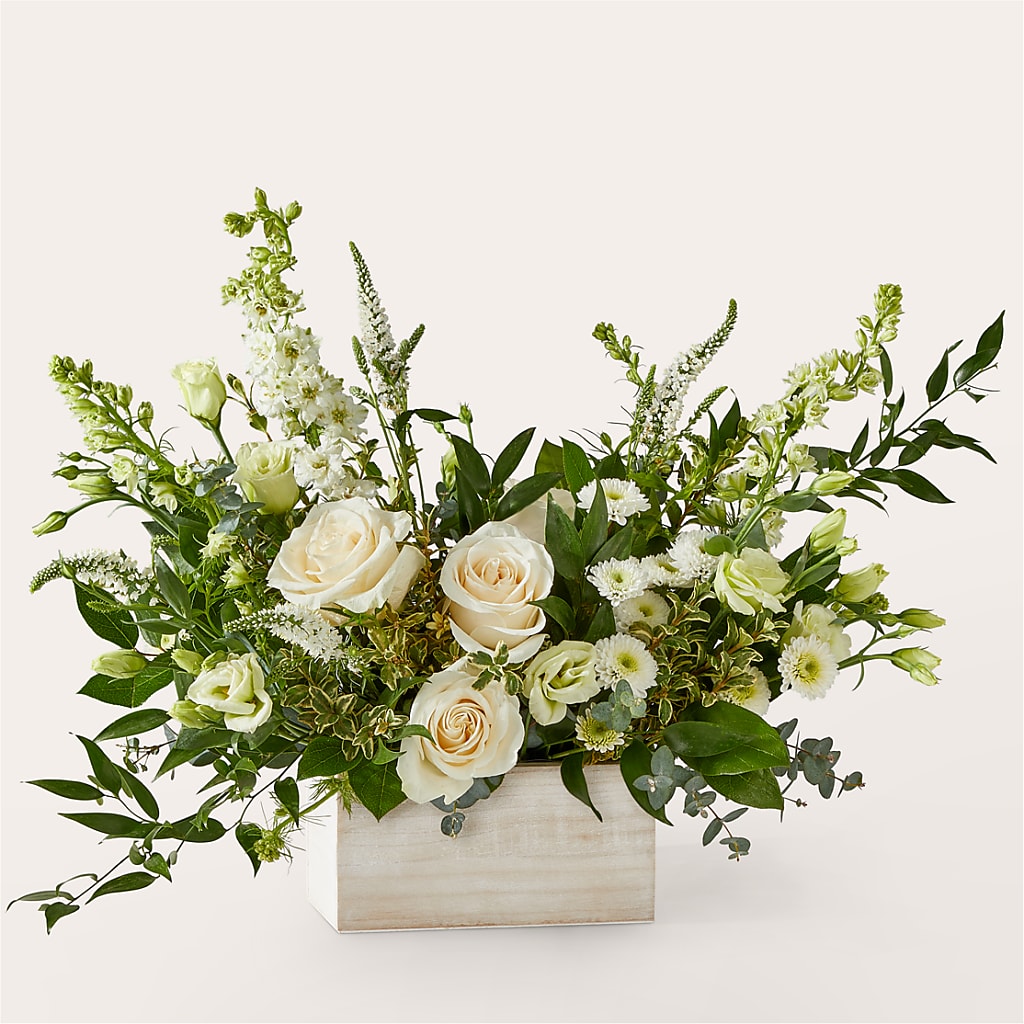 Cashmere Bouquet – RALPH'S, Compton CA