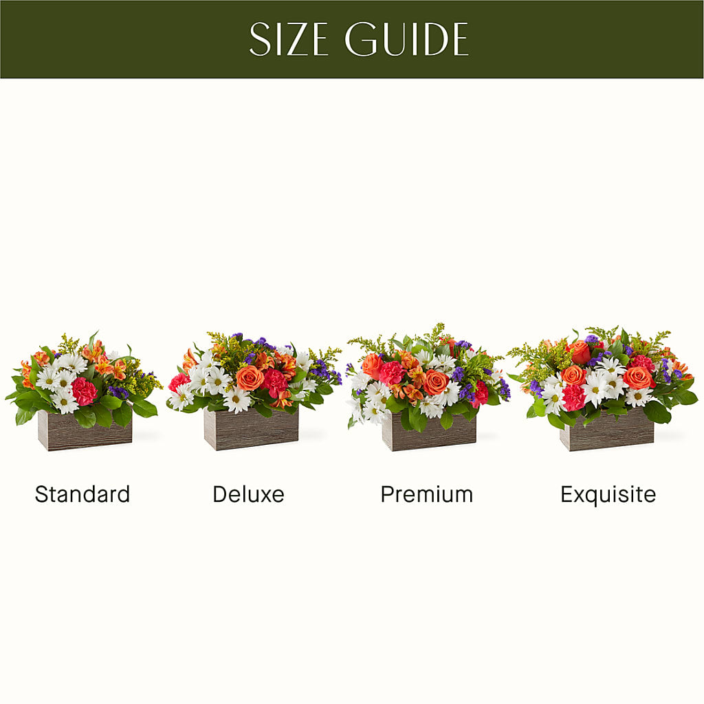 Oopsie Daisy Box Bouquet – RALPH'S, Compton CA