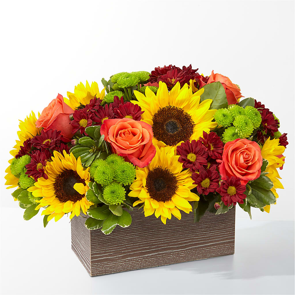 Happy Harvest Garden – RALPH'S, Compton CA