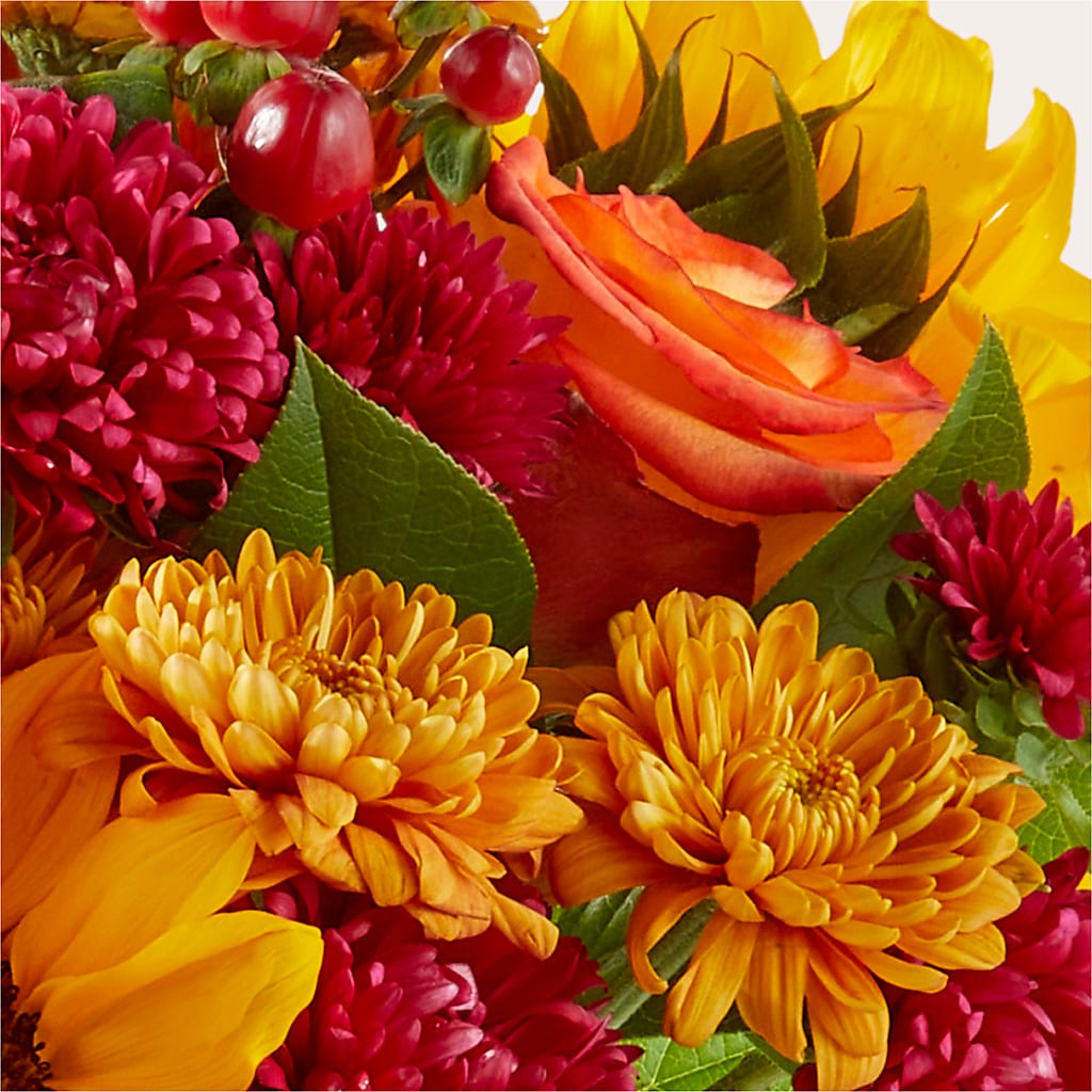 Sweater Season - A Florist Original – RALPH'S, Compton CA