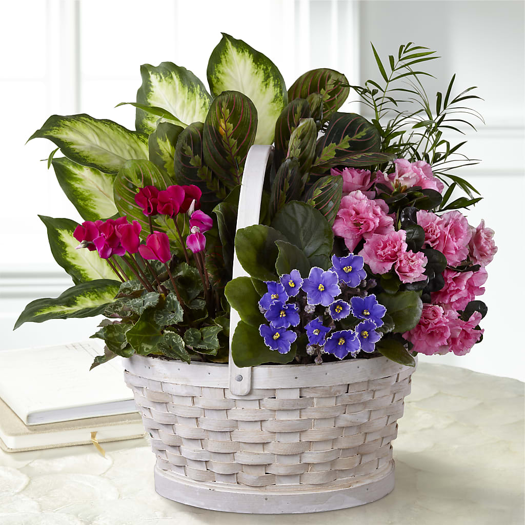 Peaceful Garden Planter – RALPH'S, Compton CA