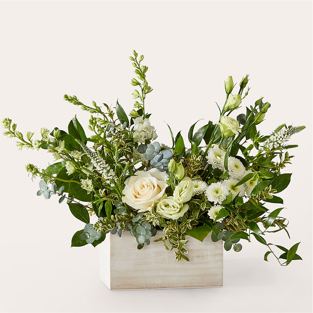 Cashmere Bouquet – RALPH'S, Compton CA