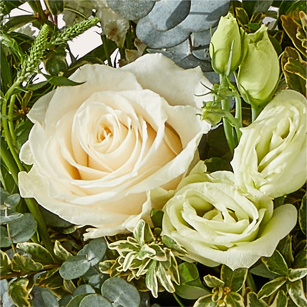 Cashmere Bouquet – RALPH'S, Compton CA