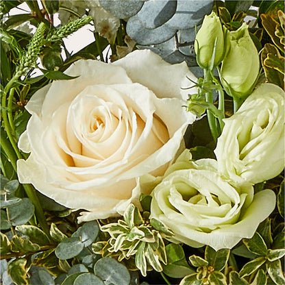 Cashmere Bouquet – RALPH'S, Compton CA