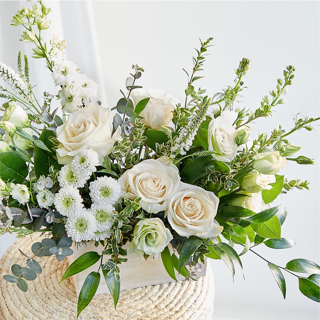 Cashmere Bouquet – RALPH'S, Compton CA