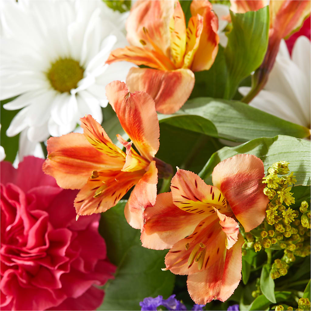 Oopsie Daisy Box Bouquet – RALPH'S, Compton CA