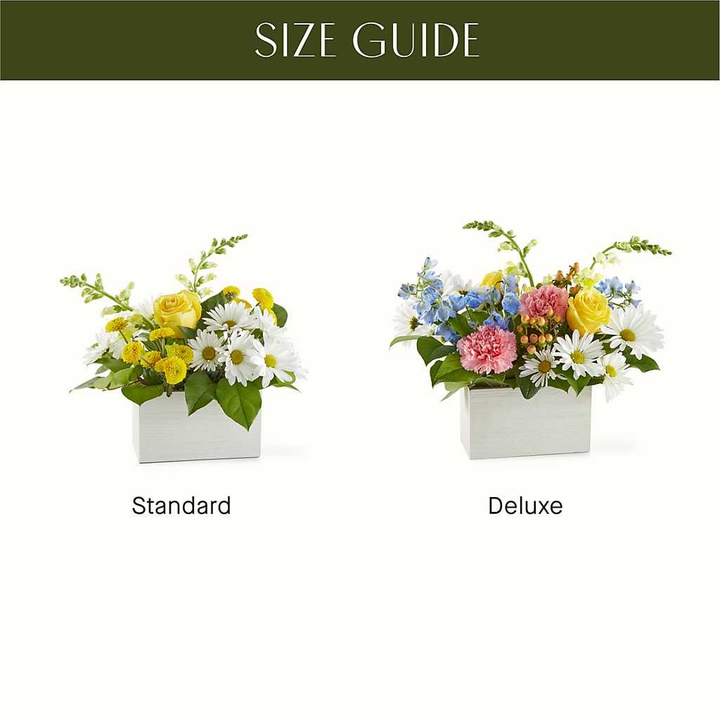 Sun Salutation Box Bouquet – RALPH'S, Compton CA