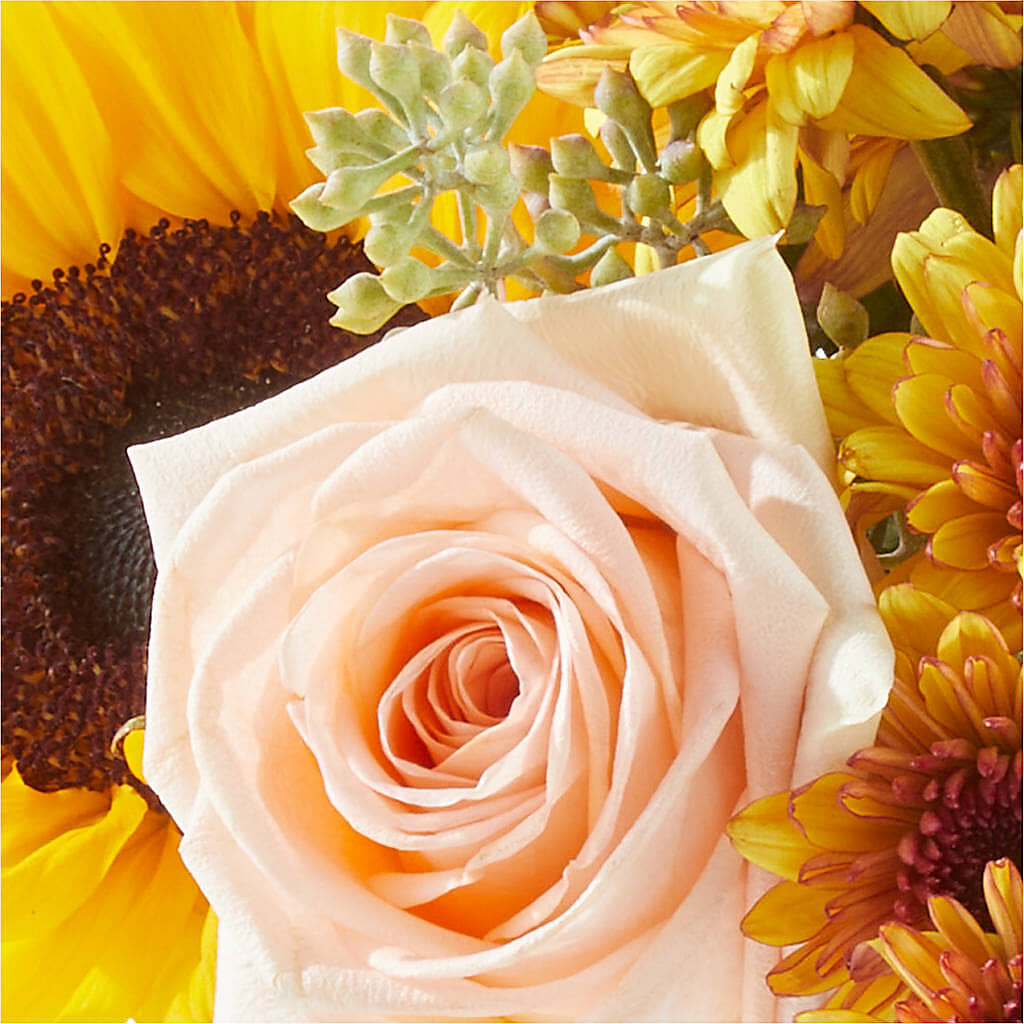 Pumpkin to Talk About Bouquet – RALPH'S, Compton CA