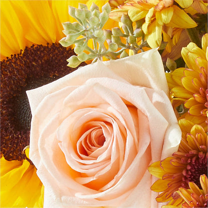 Pumpkin to Talk About Bouquet – RALPH'S, Compton CA