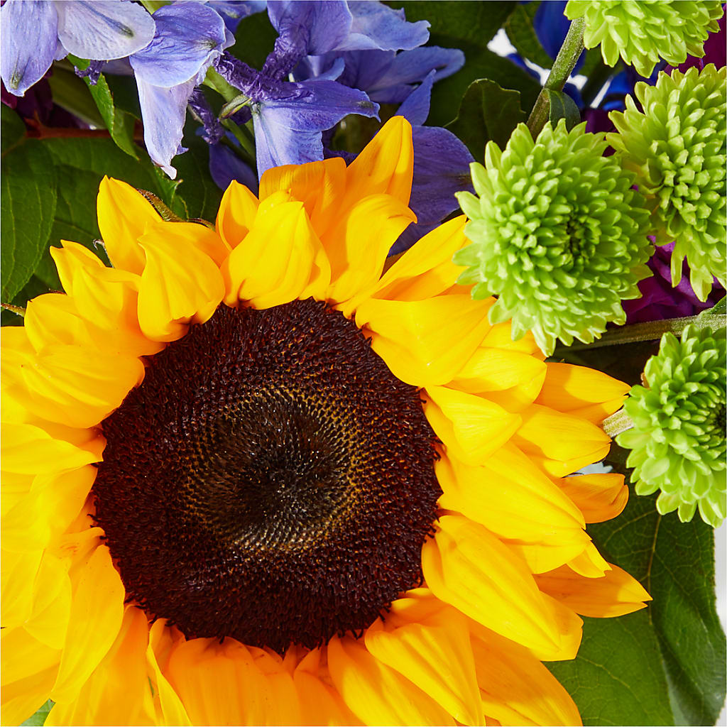 Catching Rays Bouquet – RALPH'S, Compton CA