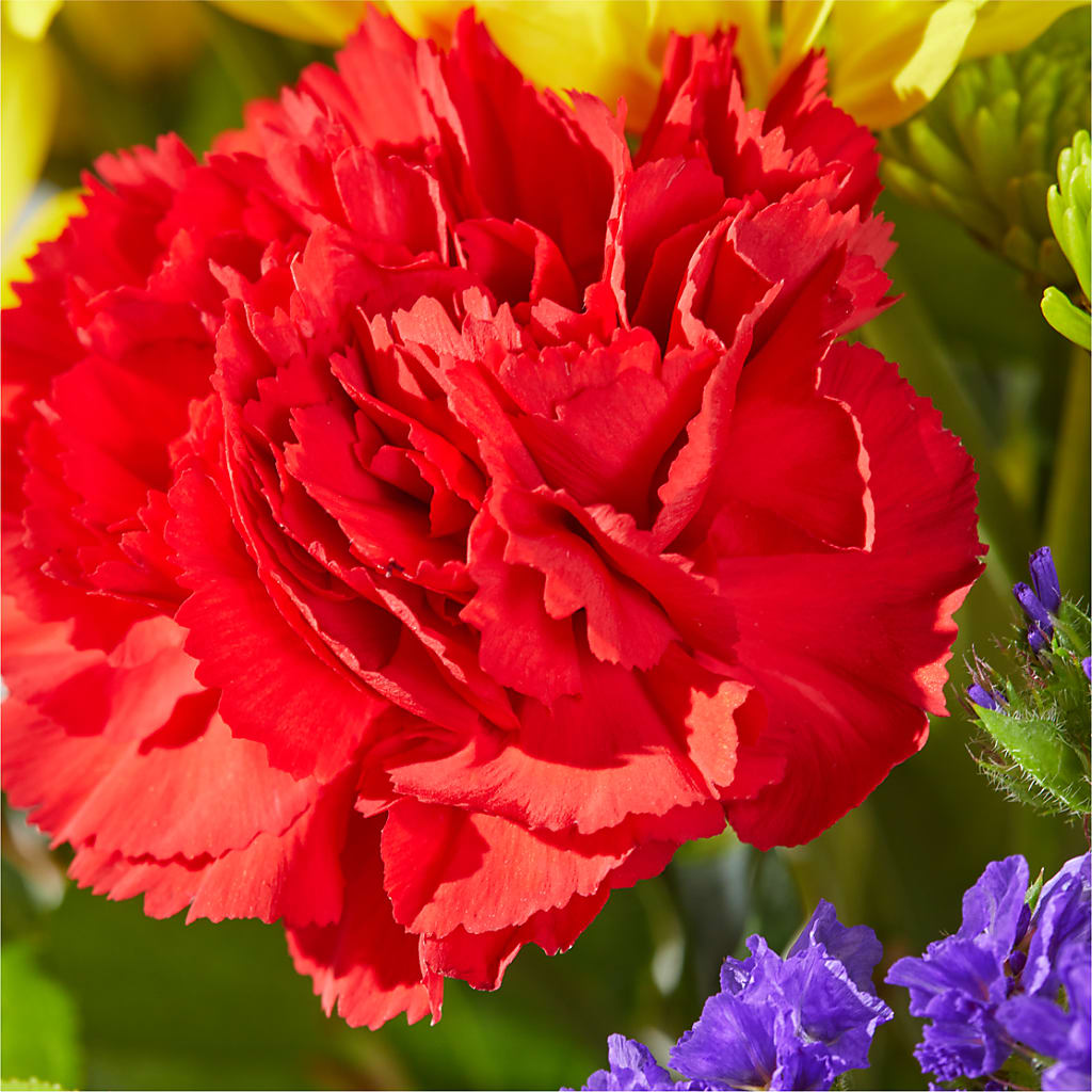 Brighter Days Bouquet – RALPH'S, Compton CA