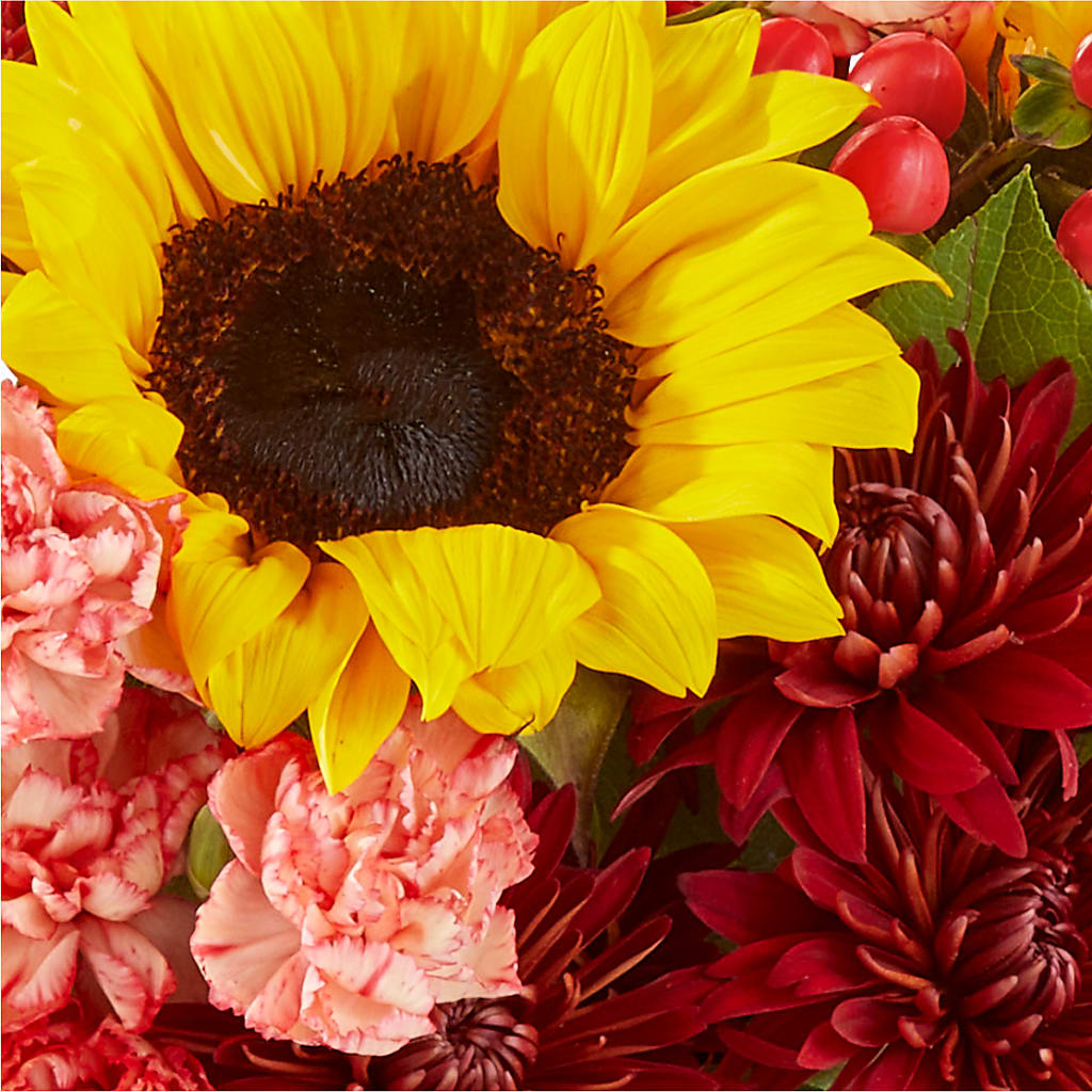 Fresh Cider Bouquet – RALPH'S, Compton CA