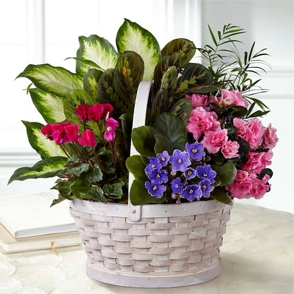 Peaceful Garden Planter – RALPH'S, Compton CA
