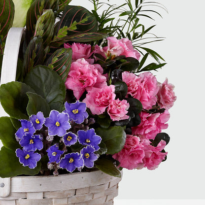Peaceful Garden Planter – RALPH'S, Compton CA