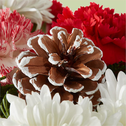Candy Cane Lane Bouquet – RALPH'S, Compton CA
