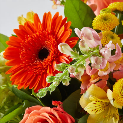 Autumn Sunshine Bouquet – RALPH'S, Compton CA