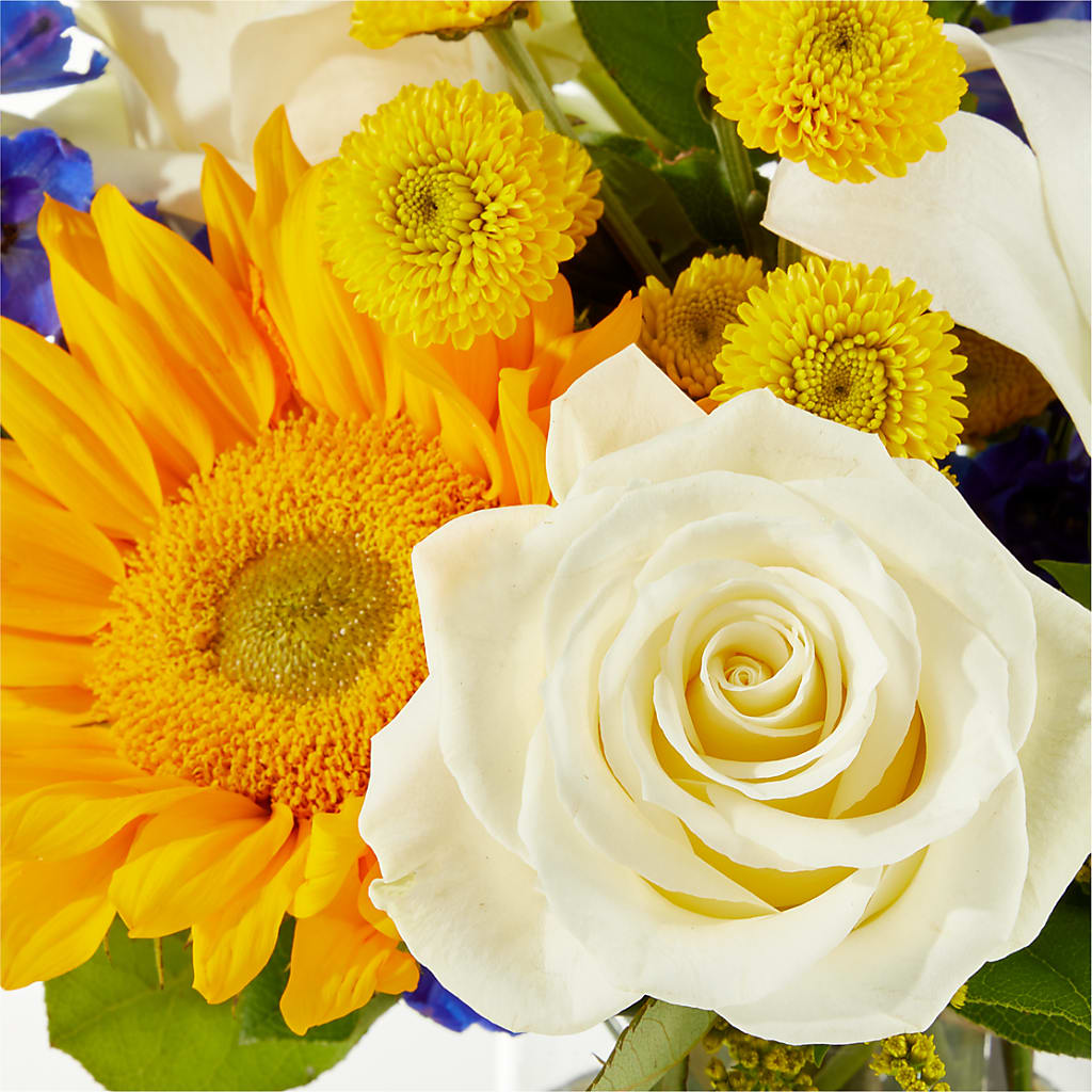 Stargazing Bouquet – RALPH'S, Compton CA
