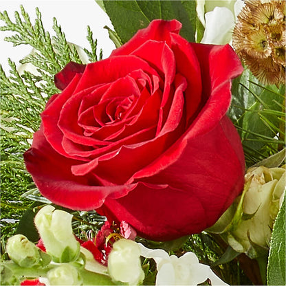 Deck the Halls Bouquet – RALPH'S, Compton CA
