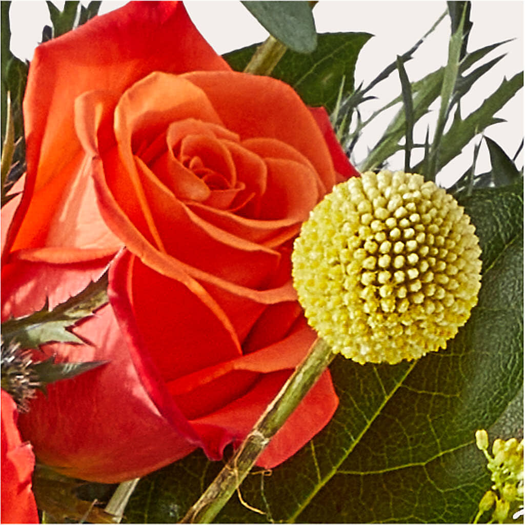 Disco Bouquet – RALPH'S, Compton CA