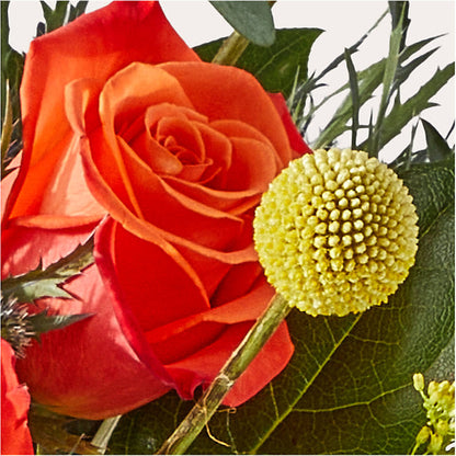 Disco Bouquet – RALPH'S, Compton CA