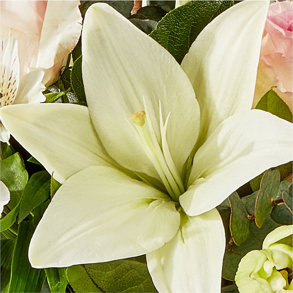 Ballet Slippers Bouquet – RALPH'S, Compton CA